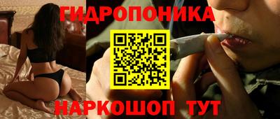 мдма Можга