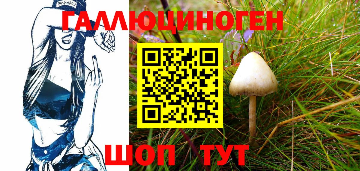 Псилоцибиновые грибы Cubensis  купить   Саяногорск  Вход с VPN 